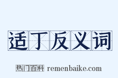 适丁反义词是什么意思的图片